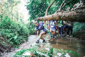 BIB: 
                            <button type="button" onclick="openModal(25470397)" class="btn btn-primary btn-sm float-right btn-popup" data-toggle="modal" data-target=".modal-high-quality">
                        <i class="fas fa-shopping-cart"></i> Add to Cart
                    </button>
                                            <button type="button" onclick="isThisMe(25470397, true)" class="btn btn-success btn-sm float-right btn-popup btn-isme hidden" data-toggle="tooltip" data-placement="bottom" title="นี่คือรูปของคุณใช่ไหม คลิกที่นี่เพื่อเอาเข้าอัลบั้ม">
                        <i class="fas fa-plus"></i> Add to album
                    </button>
                    <button type="button" onclick="isThisMe(25470397, false)" class="btn btn-warning btn-sm float-right btn-popup btn-isnotme hidden">
                        <i class="fas fa-ban"></i> Remove from album
                    </button>